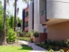 B215/81 Wellington Street, Bondi Beach, NSW 2026-Image