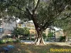 B513/810-822 Elizabeth Street, Waterloo, NSW 2017-Image