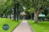 C1602/8 Wynne Avenue, Burwood, NSW 2134-Image