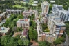 D310/780 Bourke Street, Redfern, NSW 2016-Image