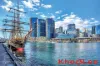 D604/26  Point Street, Pyrmont, NSW 2009-Image