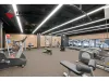E515/85 O'Connor Street, Chippendale, NSW 2008-Image