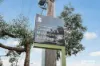 G04/20-22 Canterbury Road, Blackburn South, Vic 3130-Image