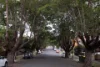 G04/24 Cecil Street, Ashfield, NSW 2131-Image