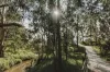 G05/27-29 Serpells Road, Templestowe, Vic 3106-Image