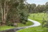 G10/399 Manningham Road, Doncaster, Vic 3108-Image