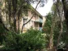 ID:21189156/17 York Street, Indooroopilly, Qld 4068-Image
