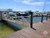 ID:21189411/13 Nicklin Way Nicklin Way, Buddina, Qld 4575-Image