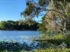 ID:21189941/ 4 Paddington Terrace, Douglas, Qld 4814-Image