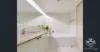 ID:21190381/57A Newstead Tce, Newstead, Qld 4006-Image