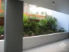 ID:21193628/16 Cliff Street, Yeppoon, Qld 4703-Image