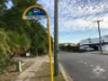 ID:21196690/ 253 Melton Road, Northgate, Qld 4013-Image