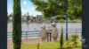 ID:21197200/38 Skyring Terrace, Teneriffe, Qld 4005-Image