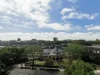 Level 7/85 O'Connor Street, Chippendale, NSW 2008-Image