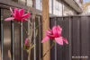 LG08/170 Anthony Rolfe Avenue, Gungahlin, ACT 2912-Image