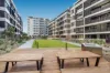 LG3/45 Upward Street, Leichhardt, NSW 2040-Image