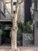 N402/545 Rathdowne Street, Carlton, Vic 3053-Image