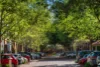 P08/780 Bourke Street, Redfern, NSW 2016-Image