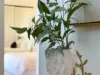 Premium 2 Bed/13 Vincent Street, Nedlands, WA 6009-Image