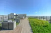 S1212/6 Galloway St, Mascot, NSW 2020-Image