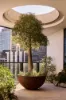 The Penthouse 1801/1 Maritime Place, Docklands, Vic 3008-Image