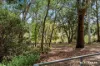 Unit 1/1 Eardley Street, Bruce, ACT 2617-Image