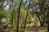 Unit 1/1 Eardley Street, Bruce, ACT 2617-Image