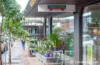 Unit 1/1 Liverpool St, Rose Bay, NSW 2029-Image