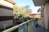 Unit 10/520 New Canterbury Rd, Dulwich Hill, NSW 2203-Image