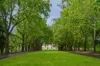 Unit 1204/8 Exploration Lane, Melbourne, Vic 3000-Image