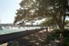 Unit 8/28 Balfour Rd, Rose Bay, NSW 2029-Image