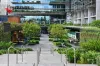 W1019/2 Chippendale Way, Chippendale, NSW 2008-Image