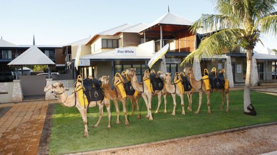 Ray White - Broome - Real Estate Agency