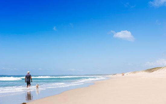 Raine & Horne Shoalhaven Heads - SHOALHAVEN HEADS - Real Estate Agency