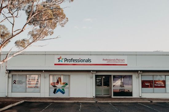 Professionals Platinum - Real Estate Agency