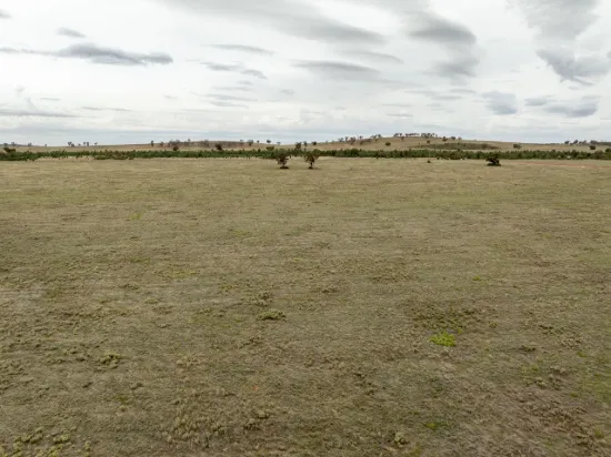 "Part Currawong" - Genuine sale to facilitate the finalisation for family settlement