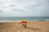 1-3/8 Pine Street, Manly, NSW 2095-Image