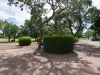 10 Messmate Way, Kununurra, WA 6743-Image