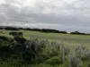 105 The Esplanade, Naracoopa, Tas 7256-Image