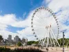14 Scott Street, West End, Qld 4101-Image