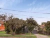 16 Herbert Street, Annerley QLD 4103-Image