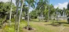 168 Charlotte St, Cooktown, Qld 4895