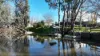 18-20  Picnic Point Road, Mathoura, NSW 2710