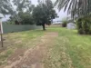 35 Riddell Street, Bingara, NSW 2404-Image