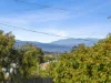 4 Summerdale Grove, Summerhill, Tas 7250-Image