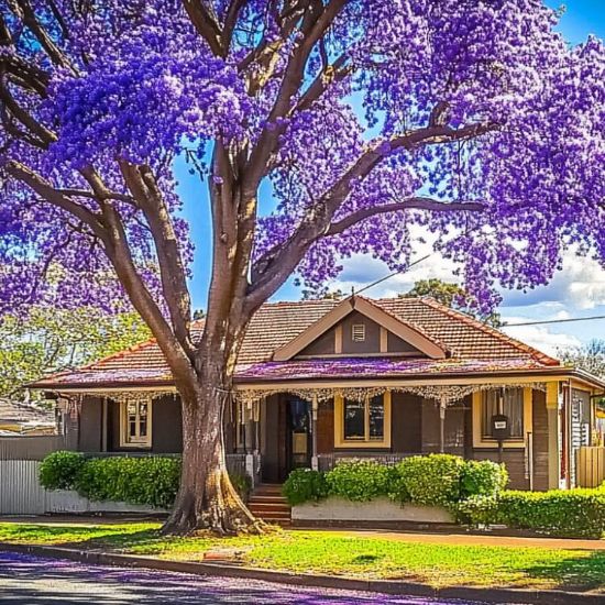 Elever Realty - Real Estate Agency