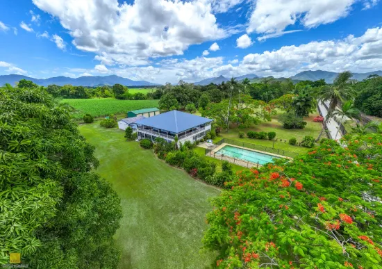 Iconic Edmonton Queenslander Circa 1920 on 3 Acres - Family Legacy & Lifestyle Opportunity