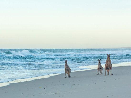 Straddie Sales & Rentals - STRADBROKE ISLAND - Real Estate Agency