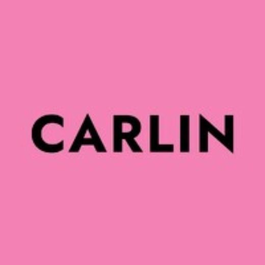 Carlin Sales - Real Estate Agent at Carlin Team 