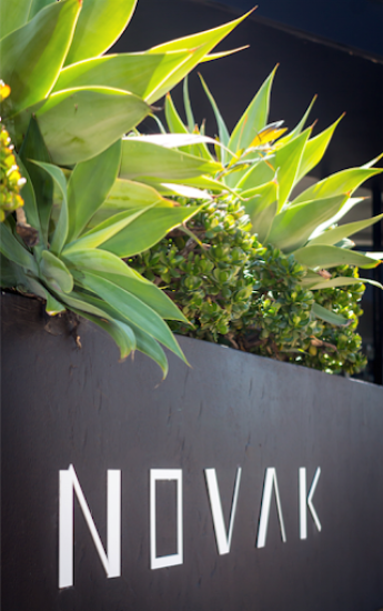 NOVAK Properties - Northern Beaches - Real Estate Agency